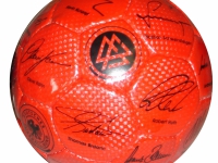 DFB-Miniball-in-rot