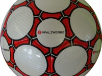 Pfalzwerke1